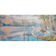 северные гуси 35Х70